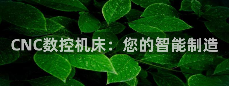哈尔滨天辰娱乐