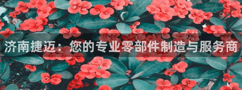 天辰娱乐登陆平台