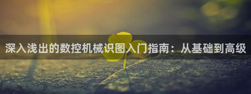 天辰娱乐1966