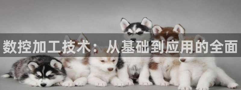 天辰宝娱乐
