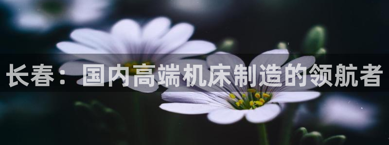 天辰娱乐总管