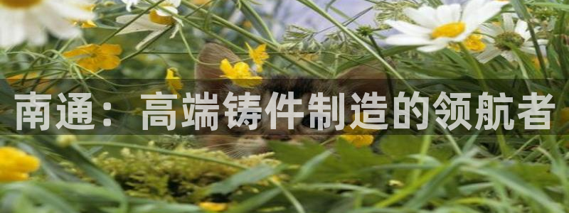 天辰娱乐新