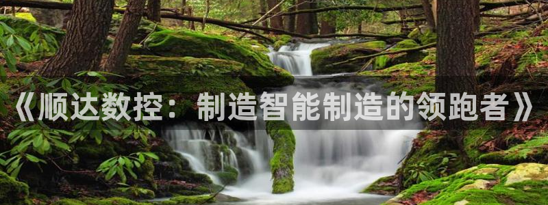 天辰娱乐主管
