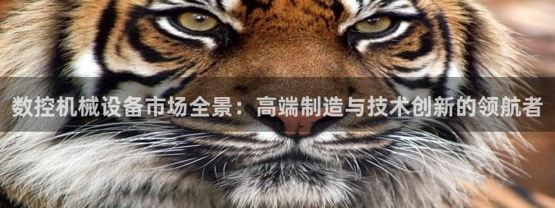 天辰娱乐所