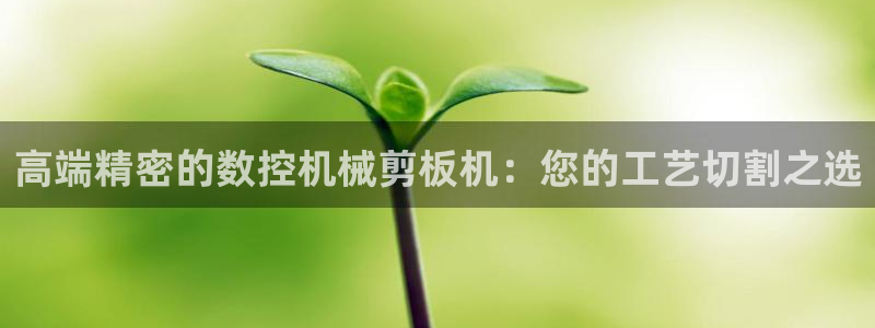 天辰臣娱乐