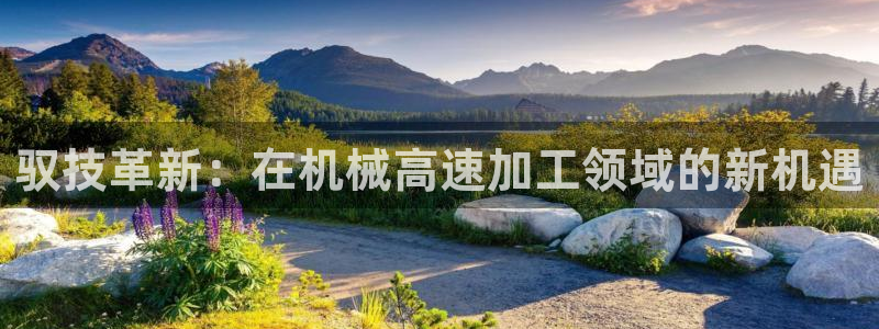 天辰娱乐游客