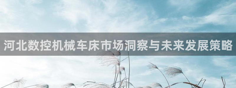 天辰说娱乐：河北数控机械车床市场洞察与未来发展策略