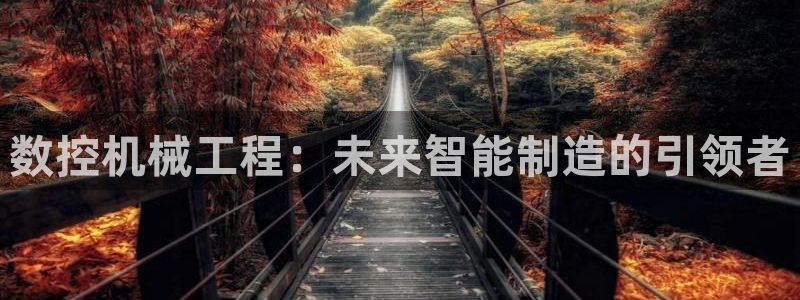 天辰娱乐平台入口