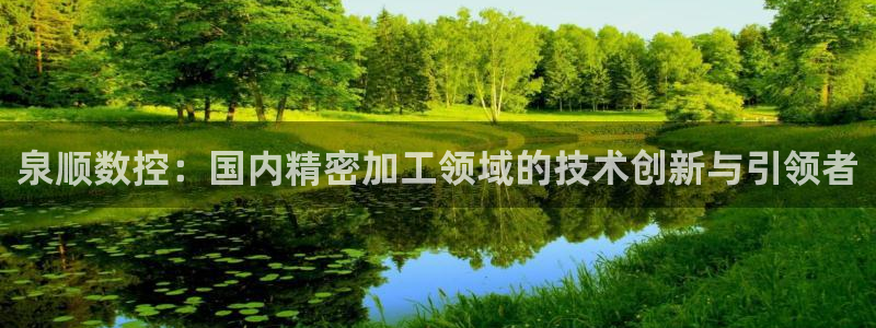 天辰娱乐总管：泉顺数控：国内精密加工领域的技术创新与引领者