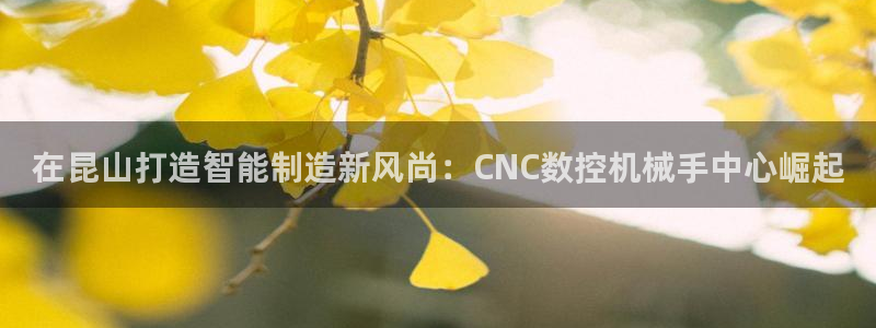 天辰娱乐22650：在昆山打造智能制造新风尚：CNC数控机械手中心崛起