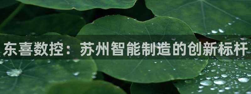 哈尔滨天辰娱乐