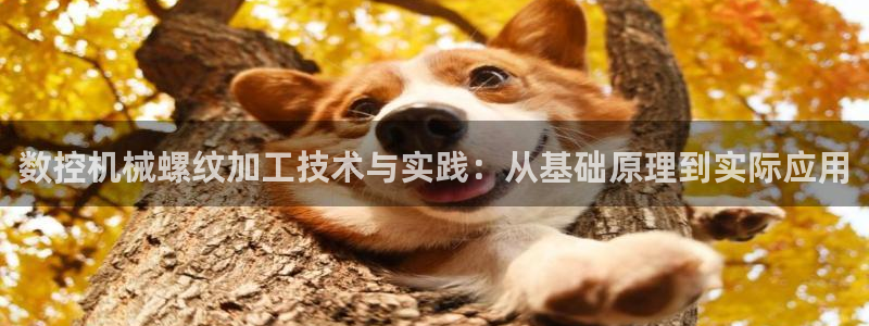 天辰娱乐线路