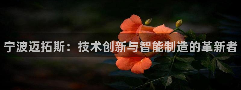 天辰娱乐直属