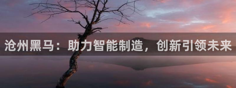 天辰娱乐测试：沧州黑马：助力智能制造，创新引领未来