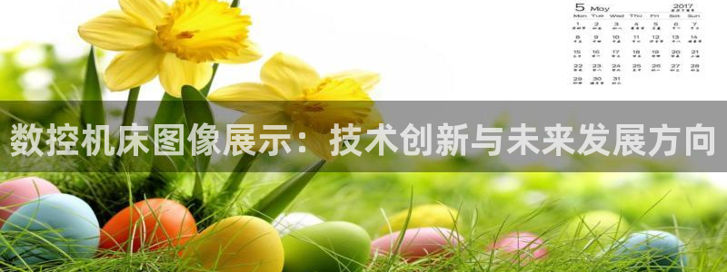 天辰娱乐小姐