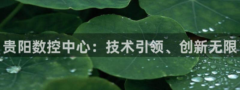 天辰娱乐53551：贵阳数控中心：技术引领、创新无限