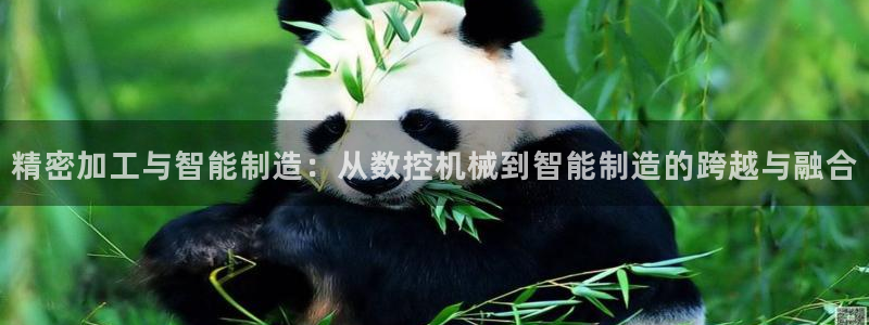 天辰娱乐下载：精密加工与智能制造：从数控机械到智能制造的跨越与融合
