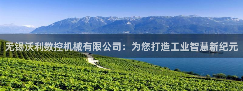 天辰娱乐黑人