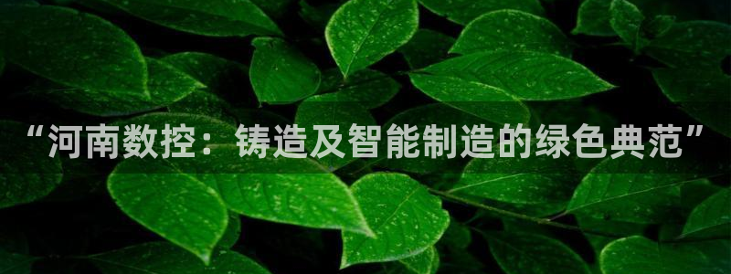 天辰 娱乐 注册：“河南数控：铸造及智能制造的绿色典范”