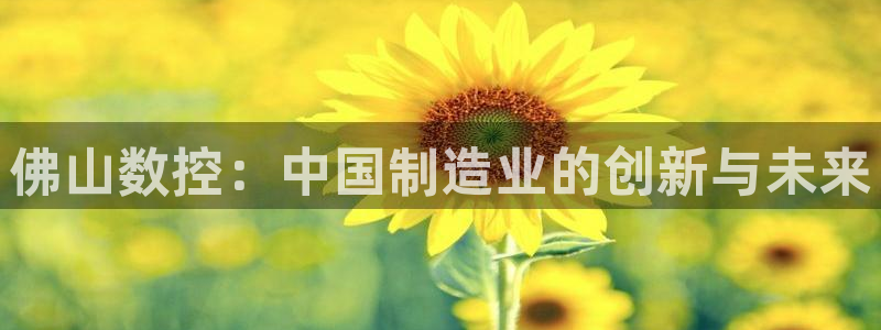 天辰说娱乐