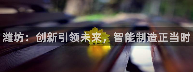 天辰娱乐957807