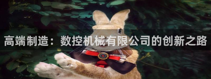 天辰娱乐海洋