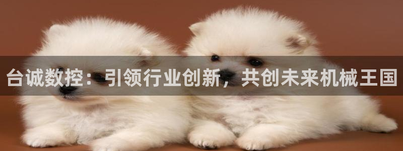 天辰娱乐输了：台诚数控：引领行业创新，共创未来机械王国