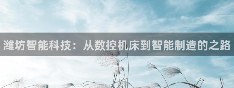 天辰娱乐连接：潍坊智能科技：从数控机床到智能制造的之路