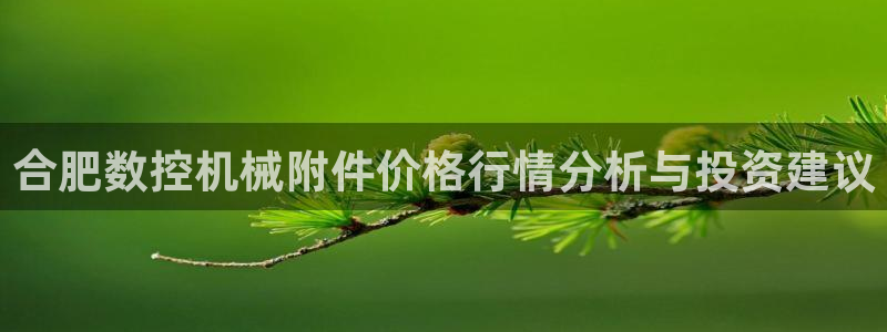 天辰娱乐注册：合肥数控机械附件价格行情分析与投资建议