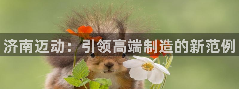 天辰娱乐十分彩：济南迈动：引领高端制造的新范例