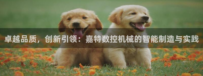 天辰娱乐游戏平台怎么样