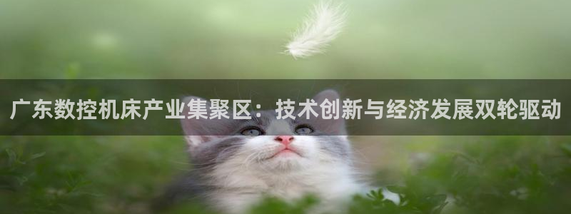 天辰娱乐下载链接