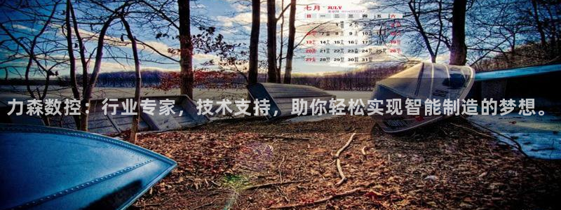 天辰娱乐 728567：力森数控：行业专家，技术支持，助你轻松实现智能制造的梦想。