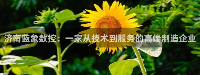 天辰娱乐简介