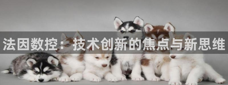 天辰娱乐总管年薪