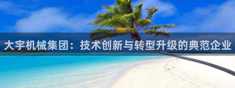 天辰天富娱乐登录：大宇机械集团：技术创新与转型升级的典范企业