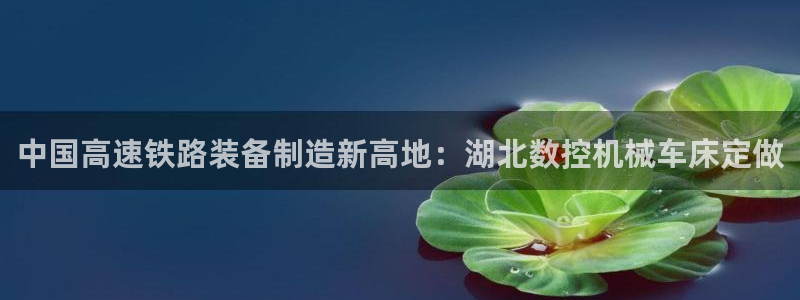 天辰娱乐解封：中国高速铁路装备制造新高地：湖北数控机械车床定做