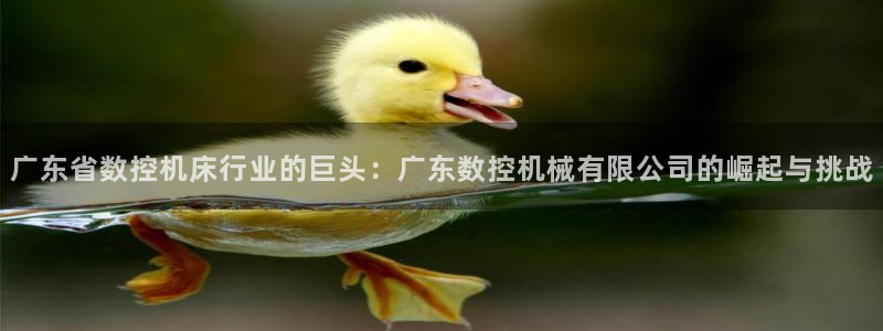 天辰娱乐国际