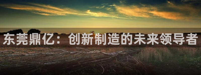 天辰娱乐1980