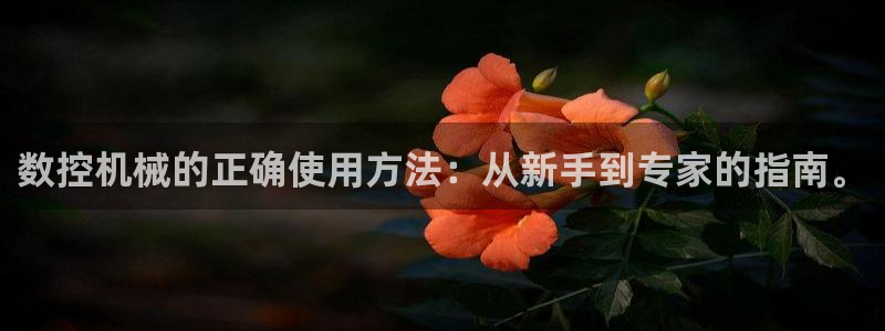 天辰娱乐输了