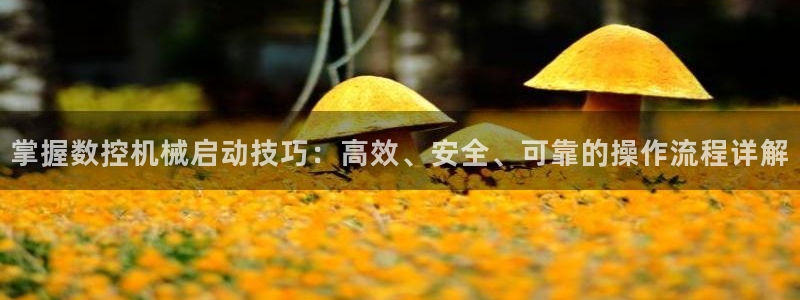 天辰娱乐跑的快