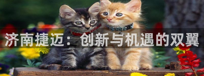 天辰娱乐总管：济南捷迈：创新与机遇的双翼