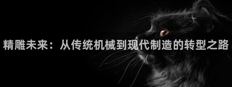 北京天辰娱乐：精雕未来：从传统机械到现代制造的转型之路