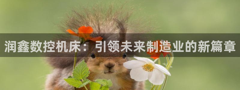 天辰娱乐娱乐：润鑫数控机床：引领未来制造业的新篇章